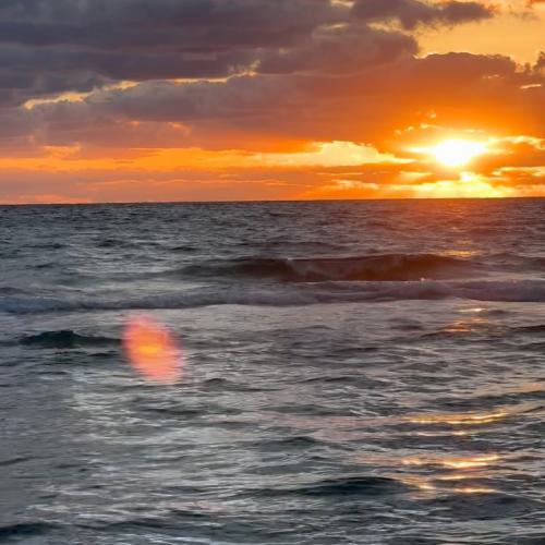 دانلود آهنگ امید نعمتی تصنیف مرغ شب دانلود آهنگ تصنیف مرغ شب امید نعمتی